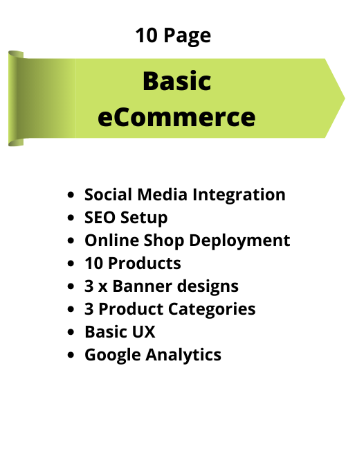 Website (e-Commerce)